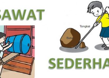 Jenis Pesawat Sederhana 